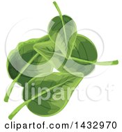 Clipart Of Sorrel Greens Royalty Free Vector Illustration