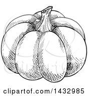 Clipart Of A Black And White Sketched Pumpkin Royalty Free Vector Illustration