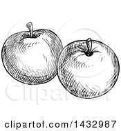 Clipart Of Black And White Sketched Apples Royalty Free Vector Illustration