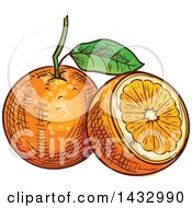 Poster, Art Print Of Sketched Oranges