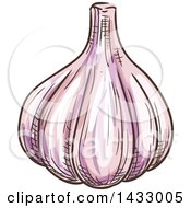 Clipart Of A Sketched Garlic Bulb Royalty Free Vector Illustration
