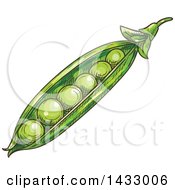 Clipart Of A Sketched Pod With Peas Royalty Free Vector Illustration
