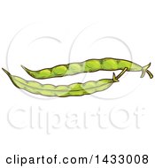 Poster, Art Print Of Sketched Bean Pods