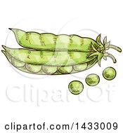 Clipart Of Sketched Pods With Peas Royalty Free Vector Illustration by Vector Tradition SM