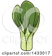 Clipart Of Chinese Cabbage Royalty Free Vector Illustration