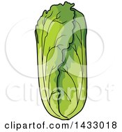Clipart Of Napa Cabbage Royalty Free Vector Illustration by Vector Tradition SM