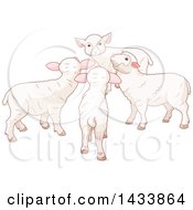 Poster, Art Print Of Circle Of Sheep