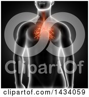 Clipart Of A 3d Xray Man With Highlighted Red Bronchus On Black Royalty Free Illustration