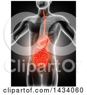 Poster, Art Print Of 3d Xray Man With Highlighted Red Intestines On Black