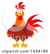 Poster, Art Print Of Chicken Rooster Bird