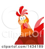 Poster, Art Print Of Chicken Rooster Bird Peeking Around A Corner