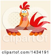 Poster, Art Print Of Chicken Rooster Bird Over A Sign On Halftone