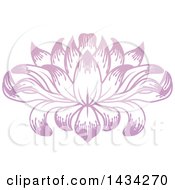Poster, Art Print Of Beautiful Pink Purple Water Lily Lotus Flower