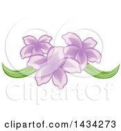 Pretty Purple Orchid Flower Design