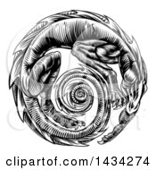 Clipart Of A Vintage Black And White Woodcut Dragon Forming A Circle Royalty Free Vector Illustration