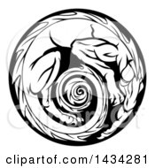 Clipart Of A Black And White Curled Up Dragon Medallion Royalty Free Vector Illustration