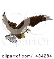 Swooping Bald Eagle With Talons Extended