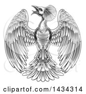 Clipart Of A Black And White Woodcut Or Engraved Phoenix Firebird Royalty Free Vector Illustration