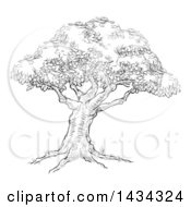 Poster, Art Print Of Black And White Sketched Tree