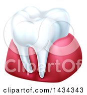 Poster, Art Print Of 3d Tooth And Gums
