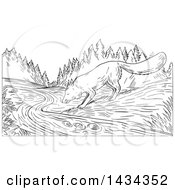 Clipart Of A Black And White Sketched Fox Drinking From A Creek Royalty Free Vector Illustration by patrimonio