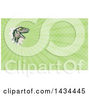 Poster, Art Print Of Retro Lizard Rator Or Tyrannosaurus Rex Slashing Through And Green Rays Background Or Business Card Design