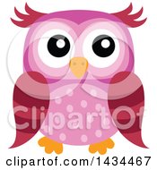 Poster, Art Print Of Pink Owl
