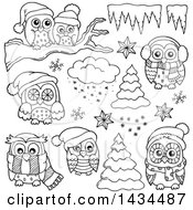 Black And White Christmas Owls