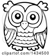 Clipart Of A Black And White Lineart Sketched Owl Royalty Free Vector Illustration