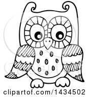 Poster, Art Print Of Black And White Lineart Sketched Owl