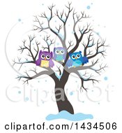 Poster, Art Print Of Family Of Owls In A Bare Tree In The Snow