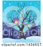Poster, Art Print Of Family Of Owls In A Bare Tree In The Winter