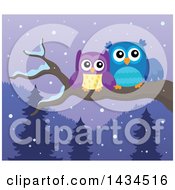 Poster, Art Print Of Pair Of Owls Perched On A Branch On A Winter Night