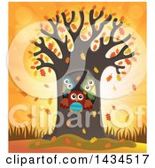 Poster, Art Print Of Family Of Owls In A Tree Hollow Against An Autumn Sunset