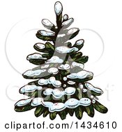 Poster, Art Print Of Sketched Snow Flocked Evergreen Tree