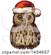 Sketched Christmas Owl Wearing A Santa Hat