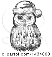 Poster, Art Print Of Sketched Dark Gray Christmas Owl Wearing A Santa Hat