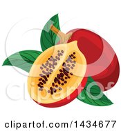 Poster, Art Print Of Tropical Exotic Tamarillo Fruit