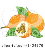 Tropical Exotic Passion Fruit