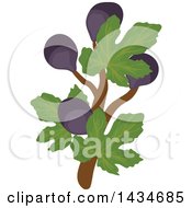 Poster, Art Print Of Tropical Exotic Fig Fruits On A Branch