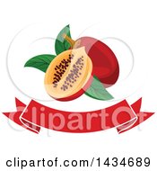 Poster, Art Print Of Blank Banner With Tropical Exotic Tamarillo Fruit