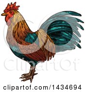 Poster, Art Print Of Sketched Rooster