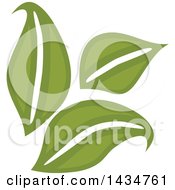 Clipart Of A Trio Of Green Leaves Royalty Free Vector Illustration