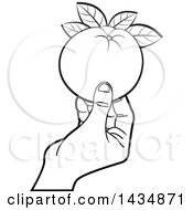 Clipart Of A Black And White Hand Holding A Navel Orange Royalty Free Vector Illustration by Lal Perera