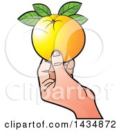 Poster, Art Print Of Hand Holding A Navel Orange