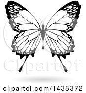 Poster, Art Print Of Black And White Butterfly With A Shadow