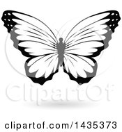 Clipart Of A Black And White Butterfly With A Shadow Royalty Free Vector Illustration