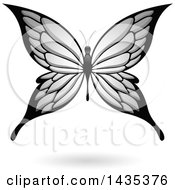 Poster, Art Print Of Gray Butterfly With A Shadow