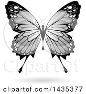 Clipart Of A Gray Butterfly With A Shadow Royalty Free Vector Illustration