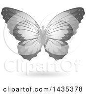 Clipart Of A Flying Gray Butterfly And Shadow Royalty Free Vector Illustration